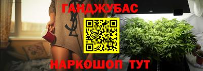 гидропоника Сланцы