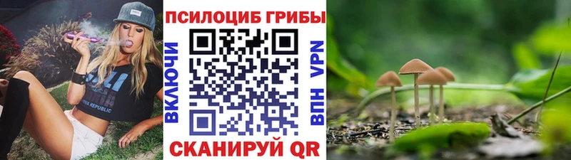 Псилоцибиновые грибы ЛСД Тихвин